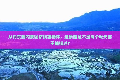 从丹东到内蒙额济纳胡杨林，这条路是不是每个秋天都不能错过？