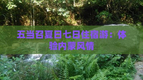 五当召夏日七日住宿游：体验内蒙风情
