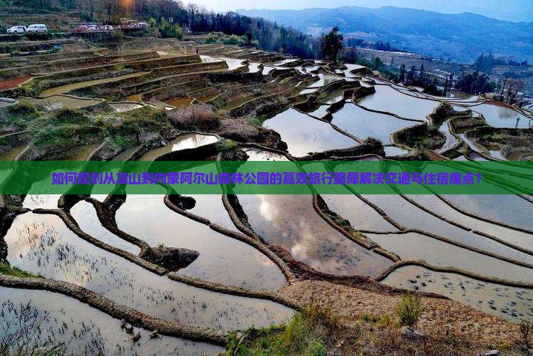 如何规划从凉山到内蒙阿尔山森林公园的高效旅行路犀解决交通与住宿痛点？