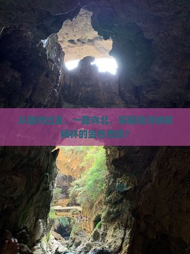 从随州出发，一路向北，探秘额济纳胡杨林的金色奇迹？