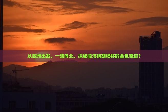 从随州出发，一路向北，探秘额济纳胡杨林的金色奇迹？