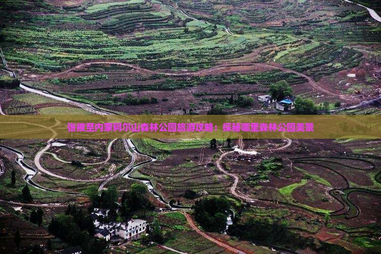 张掖至内蒙阿尔山森林公园旅游攻略：探秘哪里森林公园美景