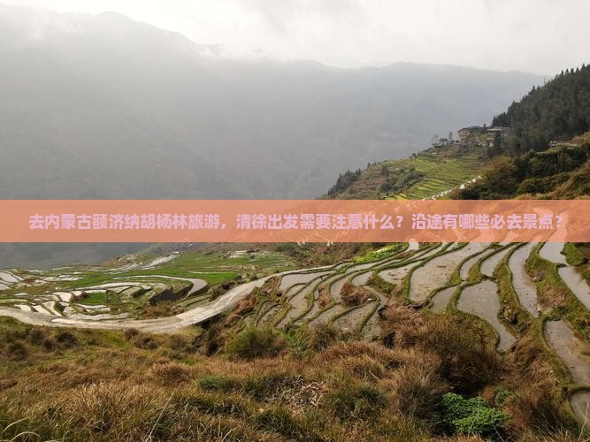 去内蒙古额济纳胡杨林旅游，清徐出发需要注意什么？沿途有哪些必去景点？