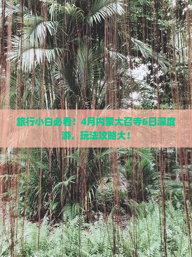 旅行小白必看！4月内蒙大召寺6日深度游，玩法攻略大！