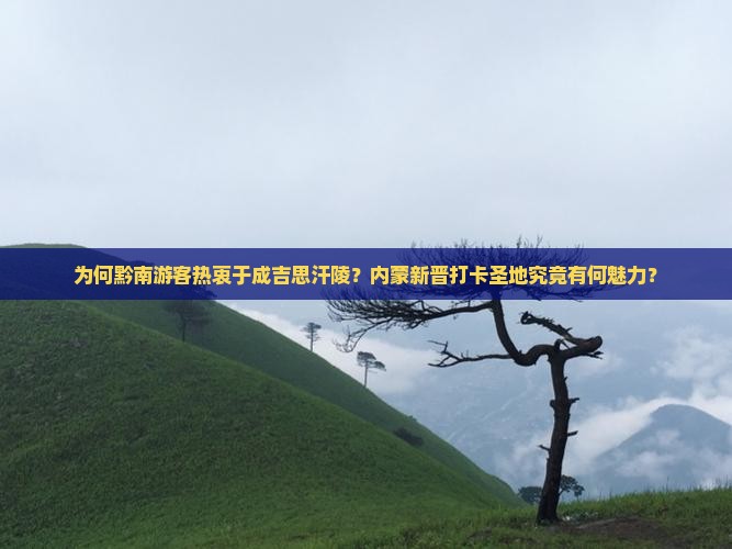 为何黔南游客热衷于成吉思汗陵？内蒙新晋打卡圣地究竟有何魅力？