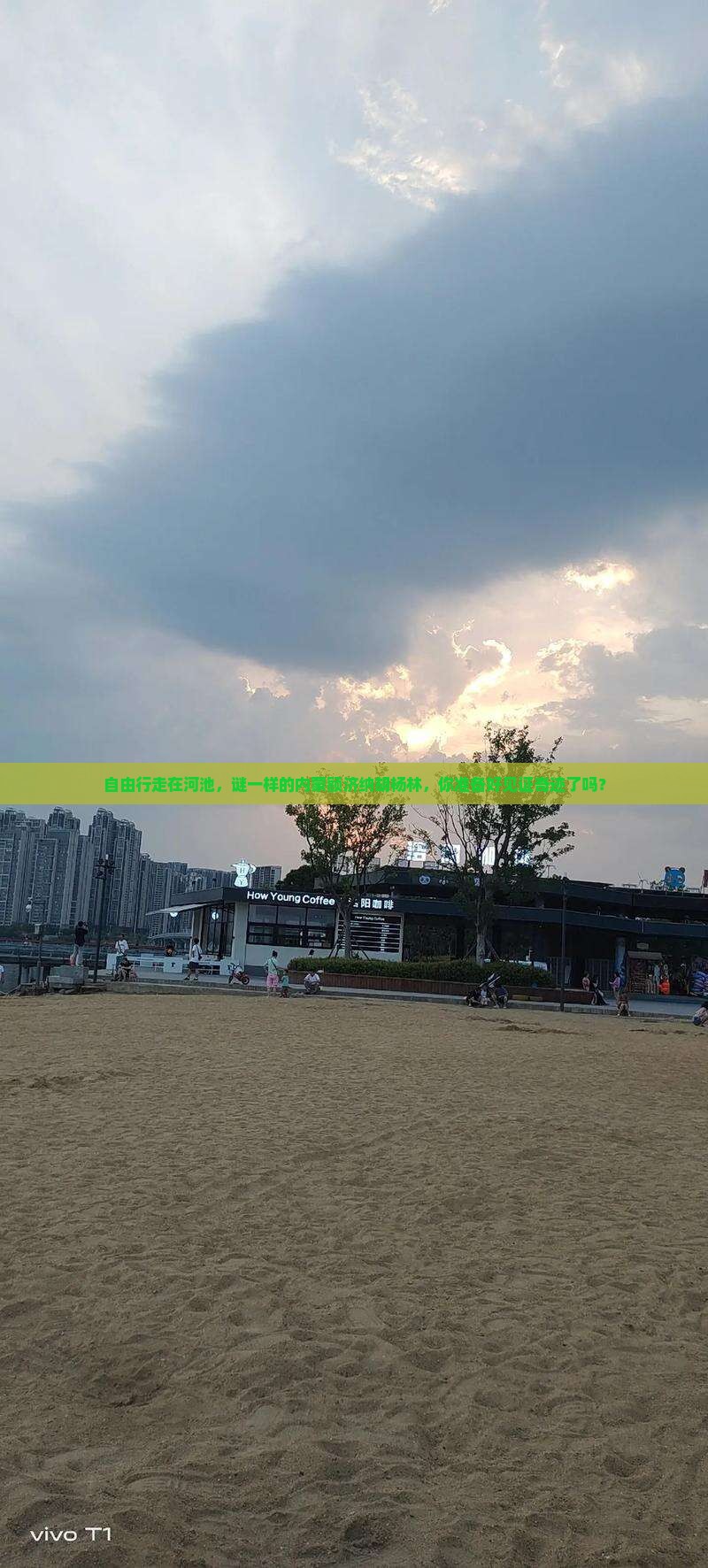 自由行走在河池，谜一样的内蒙额济纳胡杨林，你准备好见证奇迹了吗？