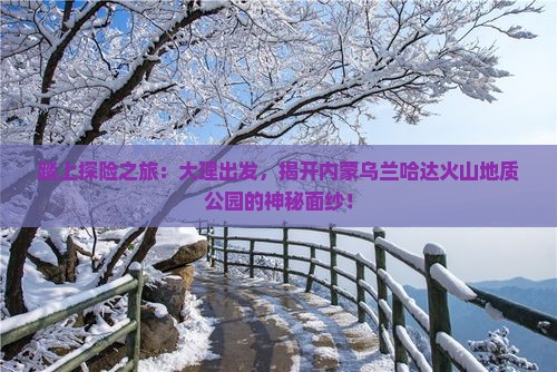 踏上探险之旅：大理出发，揭开内蒙乌兰哈达火山地质公园的神秘面纱！
