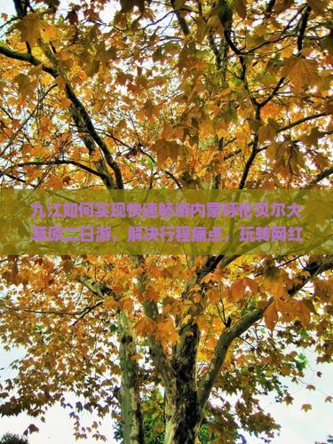 九江如何实现快速畅游内蒙呼伦贝尔大草原二日游，解决行程痛点，玩转网红打卡地？