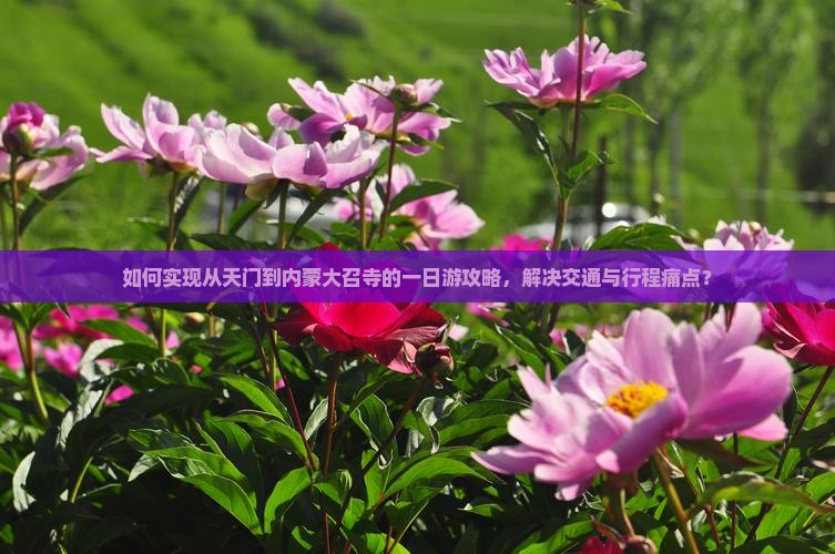 如何实现从天门到内蒙大召寺的一日游攻略，解决交通与行程痛点？