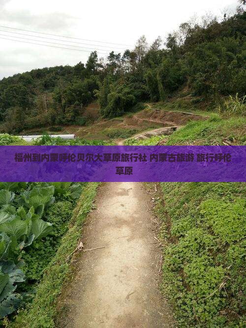 福州到内蒙呼伦贝尔大草原旅行社 内蒙古旅游 旅行呼伦 草原