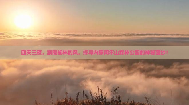 四天三夜，跟随榆林的风，探寻内蒙阿尔山森林公园的神秘面纱！