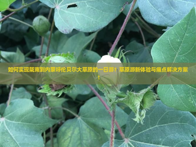 如何实现陇南到内蒙呼伦贝尔大草原的一日游？草原游新体验与痛点解决方案！