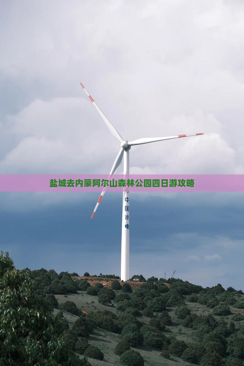 盐城去内蒙阿尔山森林公园四日游攻略