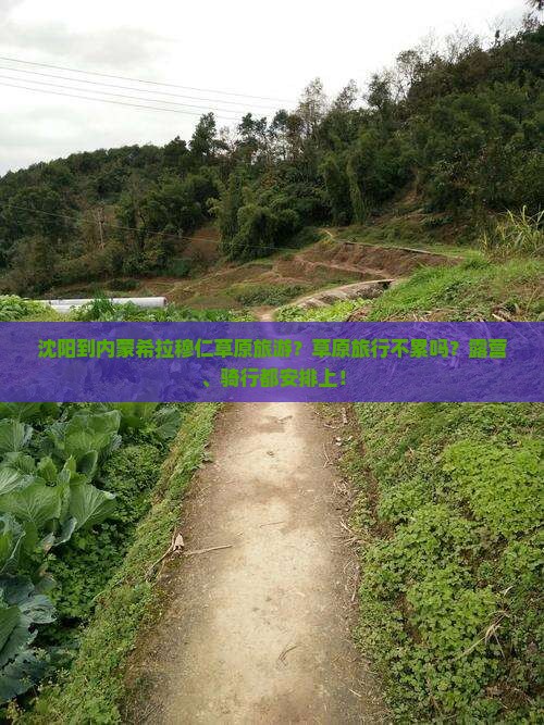 沈阳到内蒙希拉穆仁草原旅游？草原旅行不累吗？露营、骑行都安排上！