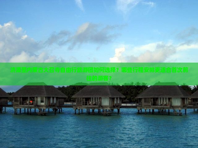 济源至内蒙古大召寺自由行旅游团如何选择？哪些行程安排更适合首次前往的游客？