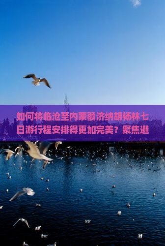 如何将临沧至内蒙额济纳胡杨林七日游行程安排得更加完美？聚焦避开人潮、沉浸式体验新玩法！