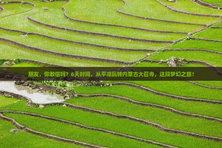 朋友，你敢信吗？6天时间，从平凉玩转内蒙古大召寺，这段梦幻之旅！