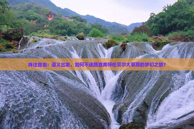 向往自由：遵义出发，如何不迷路直奔呼伦贝尔大草原的梦幻之旅？