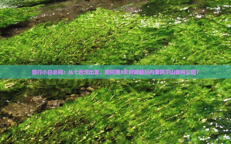 旅行小白必问：从七台河出发，如何用3天时间畅玩内蒙阿尔山森林公园？