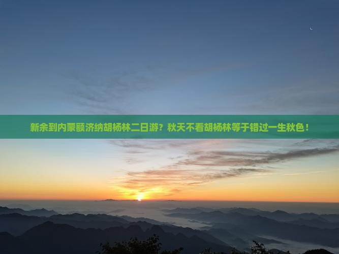 新余到内蒙额济纳胡杨林二日游？秋天不看胡杨林等于错过一生秋色！