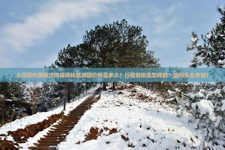 大同到内蒙额济纳胡杨林旅游团价格是多少？行程安排是怎样的？如何报名参加？