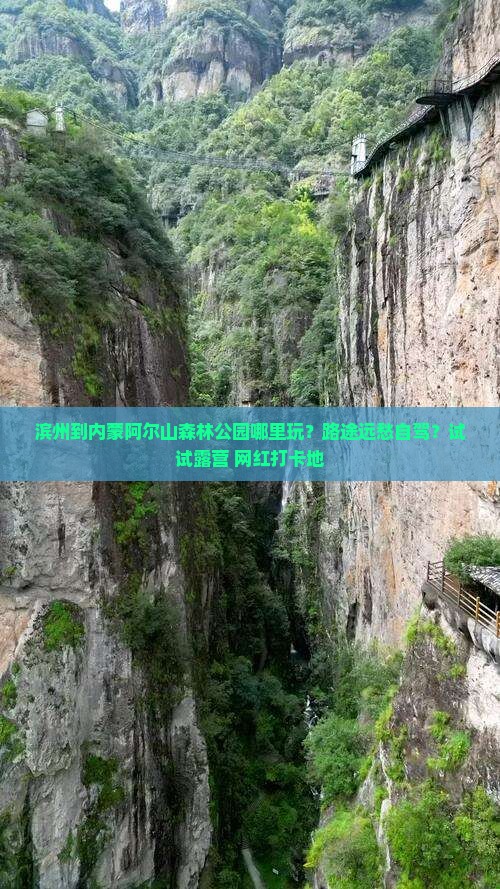 滨州到内蒙阿尔山森林公园哪里玩？路途远愁自驾？试试露营+网红打卡地