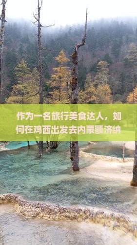 作为一名旅行美食达人，如何在鸡西出发去内蒙额济纳胡杨林游玩时，发掘那些不容错过的地道小吃？