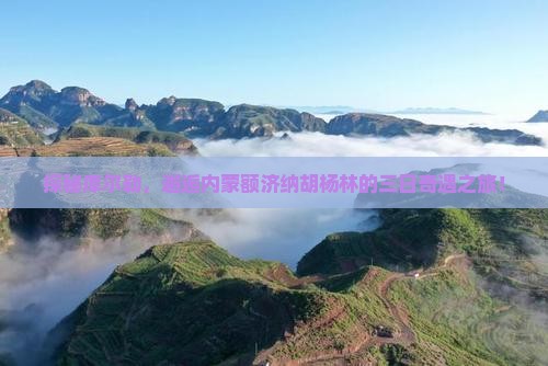 探秘库尔勒，邂逅内蒙额济纳胡杨林的三日奇遇之旅！
