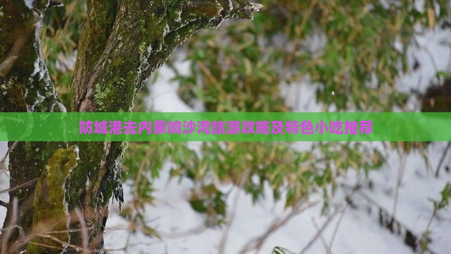 防城港去内蒙响沙湾旅游攻略及特色小吃推荐