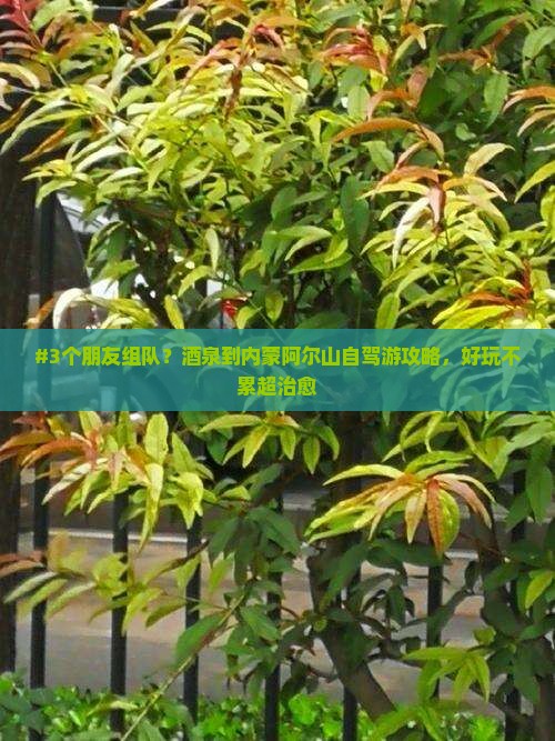 #3个朋友组队？酒泉到内蒙阿尔山自驾游攻略，好玩不累超治愈