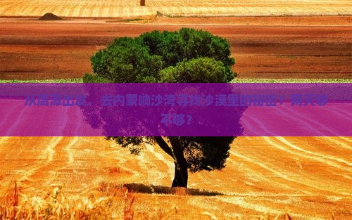 从鹰潭出发，去内蒙响沙湾寻找沙漠里的秘密！两天够不够？