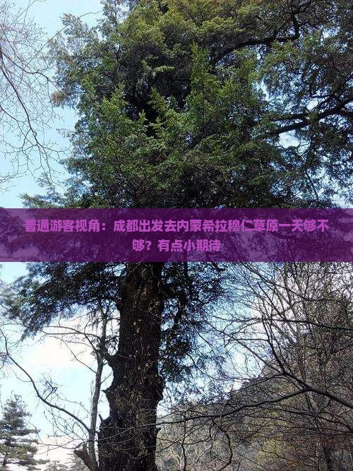 普通游客视角：成都出发去内蒙希拉穆仁草原一天够不够？有点小期待
