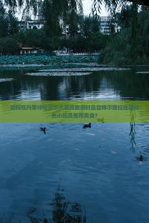 如何在内蒙呼伦贝尔大草原旅游时品尝博尔塔拉地区特色小吃及推荐美食？