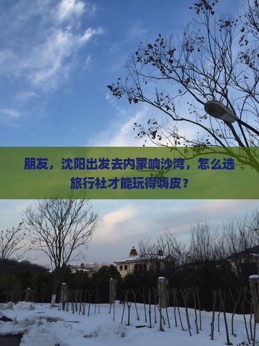 朋友，沈阳出发去内蒙响沙湾，怎么选旅行社才能玩得嗨皮？