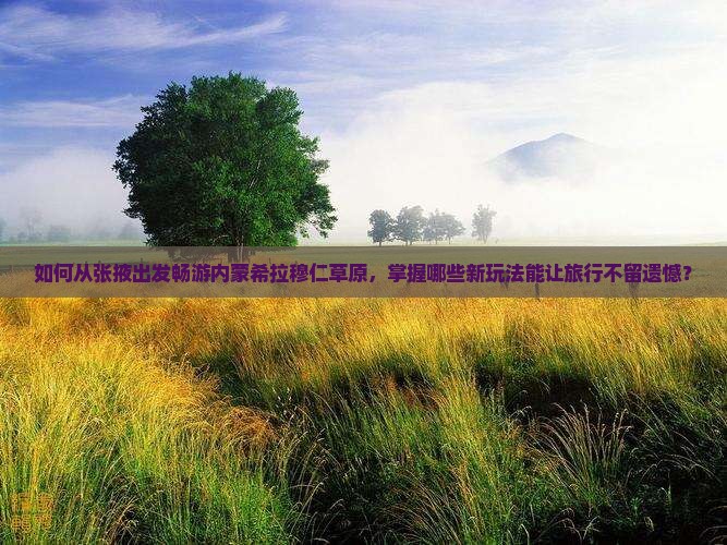 如何从张掖出发畅游内蒙希拉穆仁草原，掌握哪些新玩法能让旅行不留遗憾？