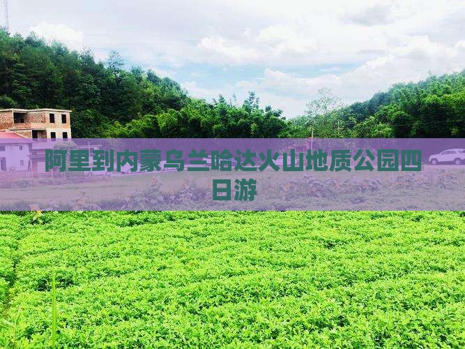 阿里到内蒙乌兰哈达火山地质公园四日游
