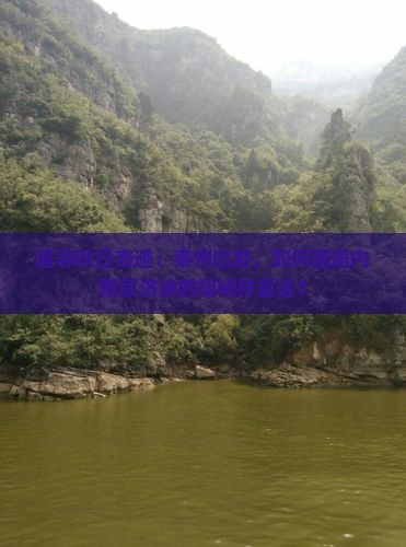 追寻秋日奇迹：泰州出发，如何邂逅内蒙额济纳的胡杨林童话？