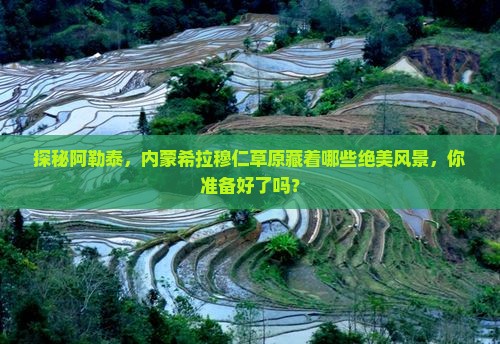 探秘阿勒泰，内蒙希拉穆仁草原藏着哪些绝美风景，你准备好了吗？