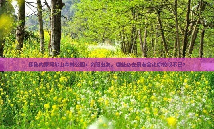 探秘内蒙阿尔山森林公园：资阳出发，哪些必去景点会让你惊叹不已？