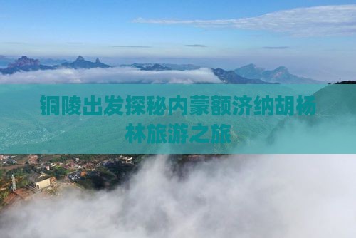 铜陵出发探秘内蒙额济纳胡杨林旅游之旅