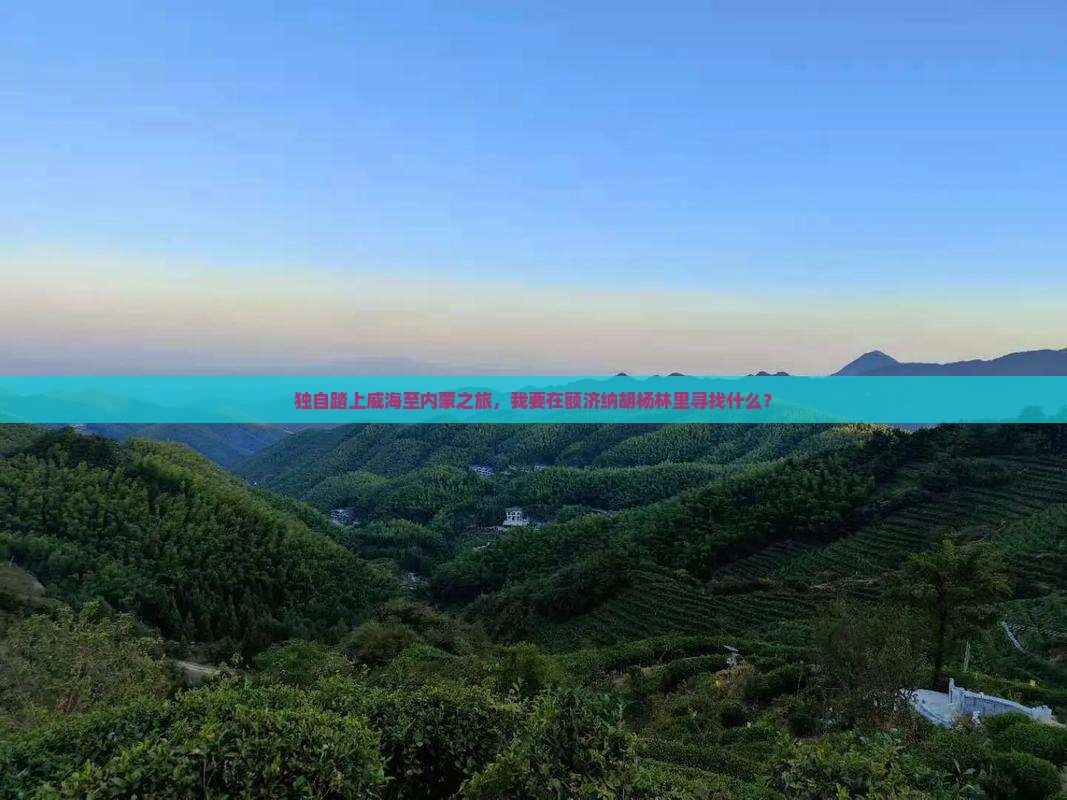 独自踏上威海至内蒙之旅，我要在额济纳胡杨林里寻找什么？