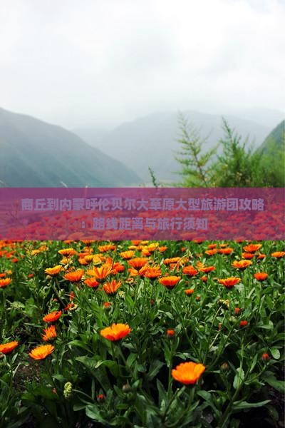 商丘到内蒙呼伦贝尔大草原大型旅游团