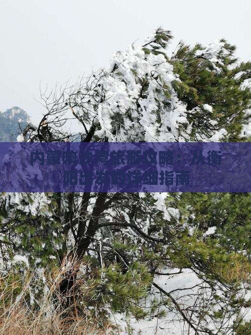 衡阳去内蒙响沙湾旅游