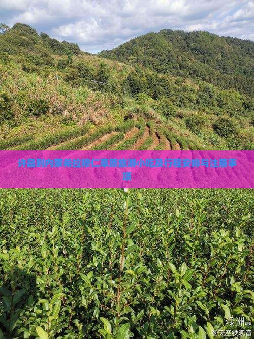许昌到内蒙希拉穆仁草原旅游小吃