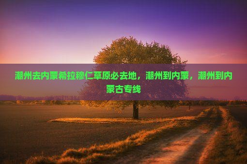 潮州去内蒙希拉穆仁草原必去地