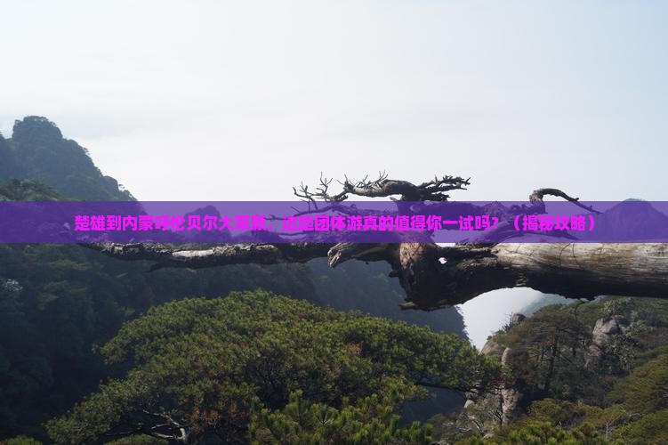 楚雄到内蒙呼伦贝尔大草原团体旅游