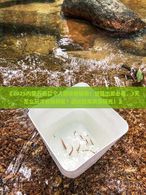 楚雄去内蒙五当召个人游