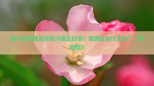 嘉兴去内蒙成吉思汗陵五日游
