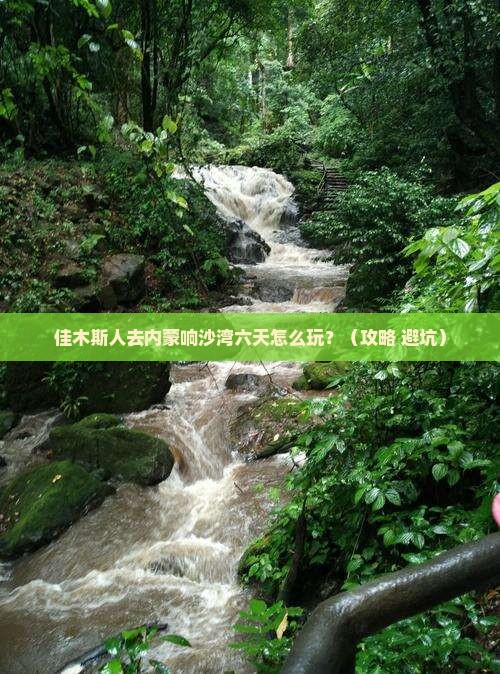 佳木斯去内蒙响沙湾六日游