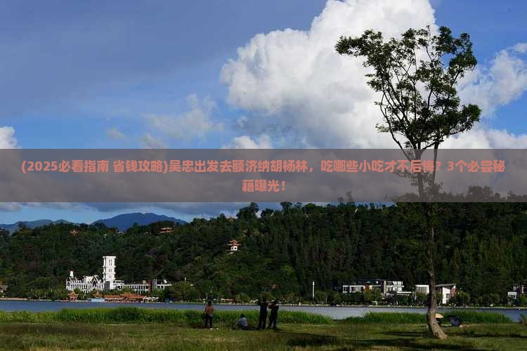 吴忠到内蒙额济纳胡杨林旅游小吃